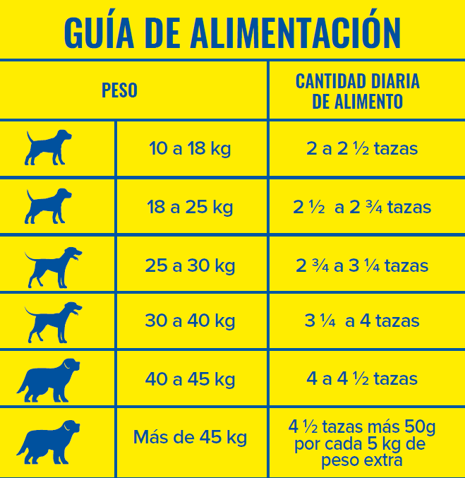 Guía de Alimentación
